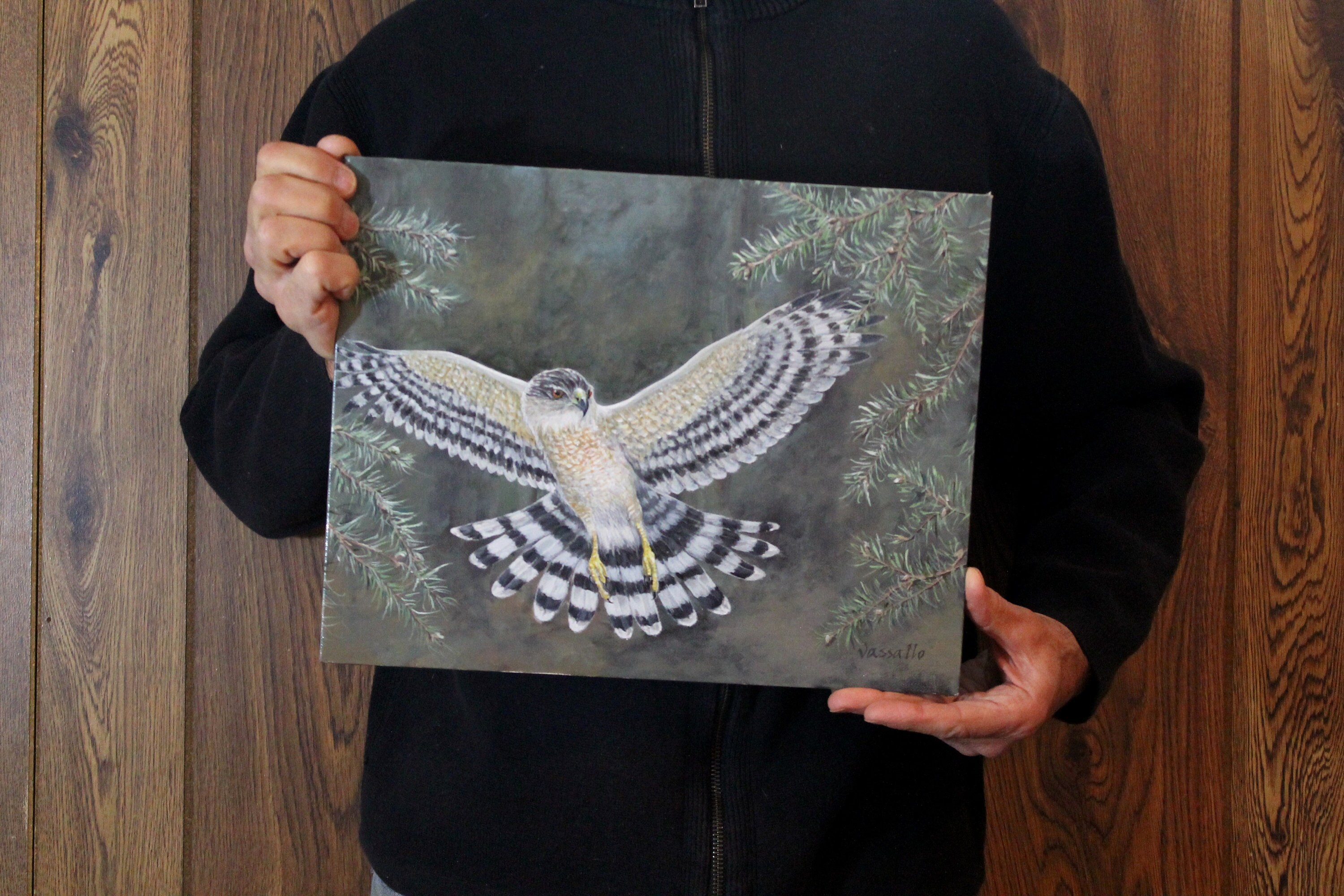 Cooper's Hawk original acrylic painting | Etsy
