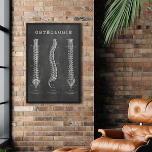 OSTEOLOGY French Spine Anatomy Poster, Scientific Study Vertebrae Spinal Bones, Chiropractic Black and White Doctors Office Wall Art Print