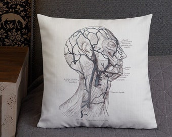 Vintage Anatomy Pillow, Veins of Head Neck Premium Throw Pillow, Includes Insert Printed on BOTH Sides Artists Medical Doctors Gifts 18x18