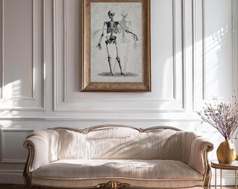 Light Academia Antique Anatomy Skeleton Art Print, Classical Vintage Skull Poster, Victorian Macabre Dark Moody Gothic Doctors Office Decor