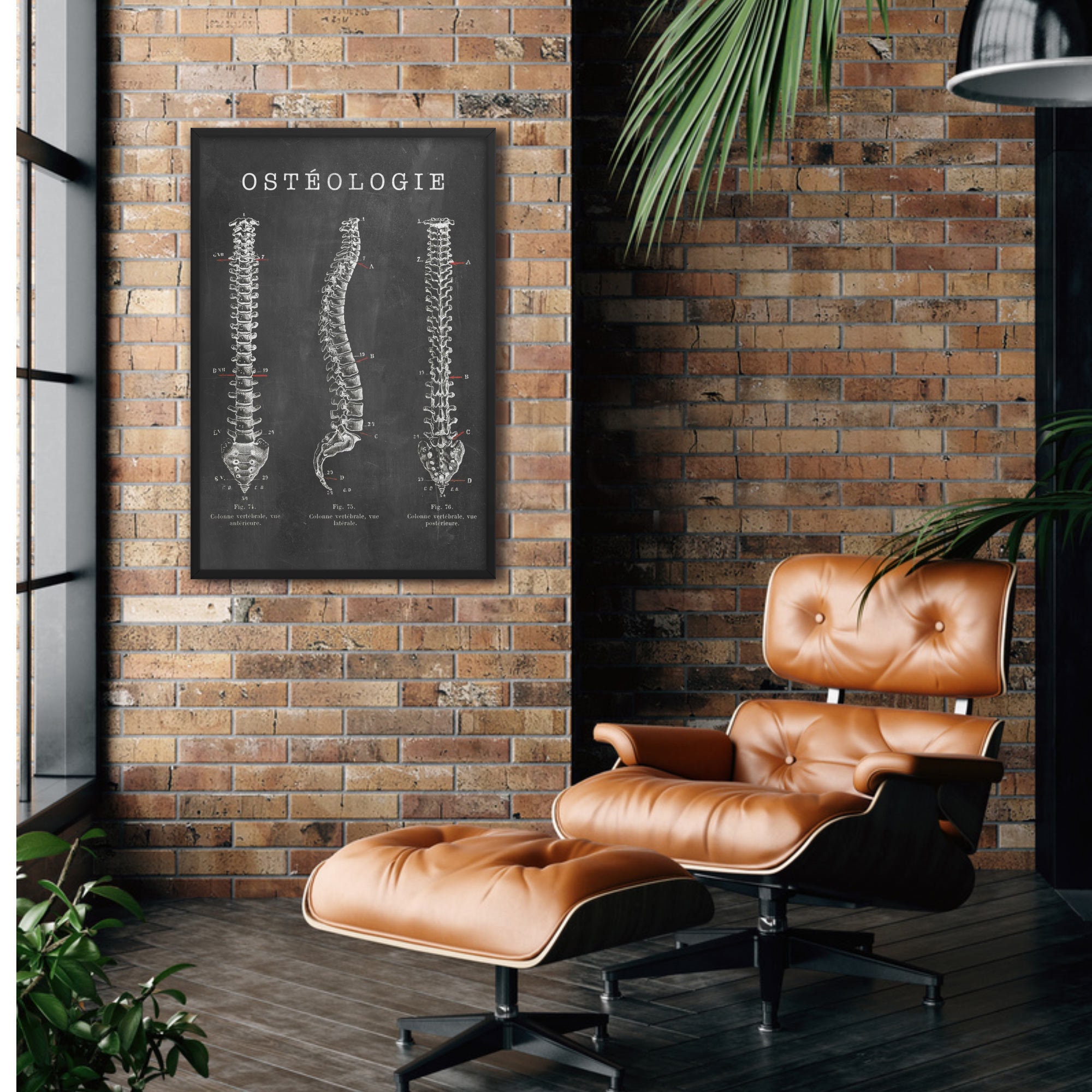 Chiropractic Tables for sale Only 3 left at 70