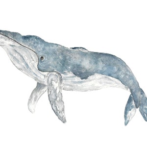Whale art, whale print, watercolor whale, whale nursery art, animal nursery print, animal nursery wall art, humpback whale, beach print
