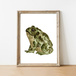 Watercolor Toad Art Print - Frog print - Toad Familiar Print - 5X7 in. or 8X10 in.
