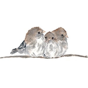 May include: Watercolor painting of three brown and gray birds perched on a branch. The birds are huddled together, with their heads close together.