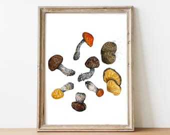 Watercolor Fungi Mushroom Art Print - Natural History Print - Aminita Muscaria - 5X7 or 8X10 inches