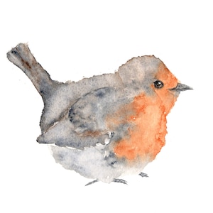 Vogelkunst, Tier Malerei, Natur-Malerei, Aquarell, Vogel Druck, Vögel, Aquarell Tiere, Englisch Robin, Abbildung, 7 X 5