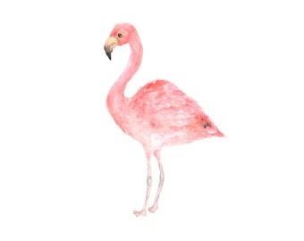 Watercolor bird, bird painting, watercolor painting, bird art, watercolor animals, pink flamingo, pink, flamingo print, tropical decor, 5X7