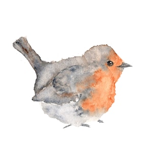 Watercolor painting, watercolor bird painting, bird art, animal illustration, bird print, English robin, grey, orange, rustic - 10X8 print