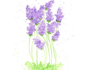 Aquarell, Aquarell Blumen, Blume, drucken, Lavendel, Blumenmalerei, lila, Blume, Kraut Malerei 8 X 10 drucken