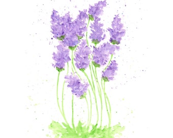 watercolor painting, watercolor flowers, flower print, lavender, flower painting, purple, flower art, herb painting, 8X10 print