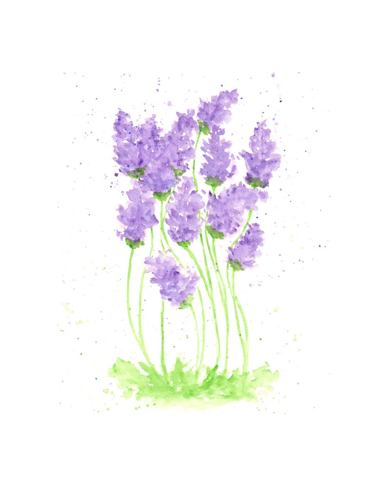 watercolor painting, watercolor flowers, flower print, lavender, flower painting, purple, flower art, herb painting, 8X10 print image 1
