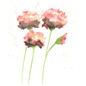 Watercolor flowers, french country, watercolor painting, flower painting, peach art, watercolor poppies, flower art, poppy print, 8X10 print