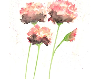 Watercolor flowers, french country, watercolor painting, flower painting, peach art, watercolor poppies, flower art, poppy print, 8X10 print