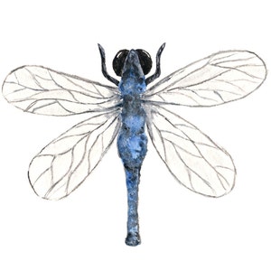 May include: Watercolor illustration of a dragonfly. The insect features a blue body, black eyes, and delicate, transparent wings with gray veins. The dragonfly is depicted against a clean white background, showcasing the intricate details of the artwork.