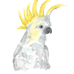 watercolor parrot art, parrot print, tropical print, cockatoo art, cockatoo print, tropical art, bird print, parrot painting,