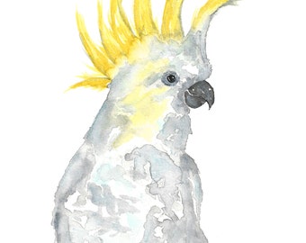 watercolor parrot art, parrot print, tropical print, cockatoo art, cockatoo print, tropical art, bird print, parrot painting,