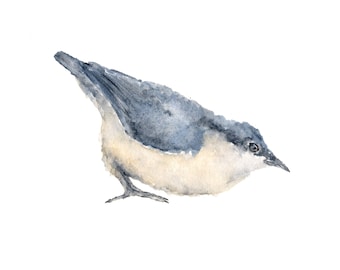 Aquarel, aquarel vogels, vogel print, vogel schilderen, aquarel Boomklever, blauwe vogel, aquarel dieren, vogel kunst, afdrukken van 10 X 8