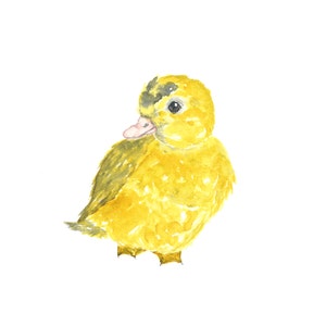 Nursery animal art, baby animal print, animal nursery print, baby duck print, nursery watercolor animal print, watercolor duck art, 8X10