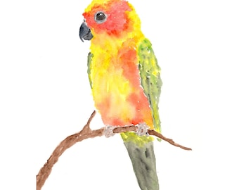 Watercolor parrot painting - sun conure parrot art - tropical decor watercolor painting - bird print - tropical painting - yellow, 8X10
