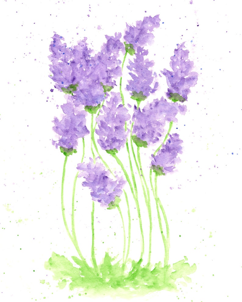watercolor painting, watercolor flowers, flower print, lavender, flower painting, purple, flower art, herb painting, 8X10 print image 2