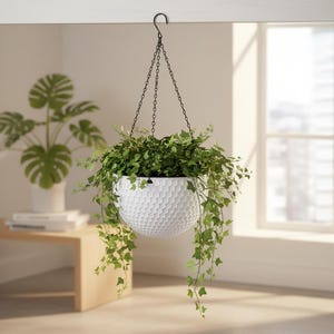 Peut inclure: Un pot suspendu blanc texturé rempli de lierre vert. Le pot est suspendu par une chaîne et un crochet noirs. Le lierre déborde des côtés du pot. L'arrière-plan comprend une fenêtre et une plante Monstera.