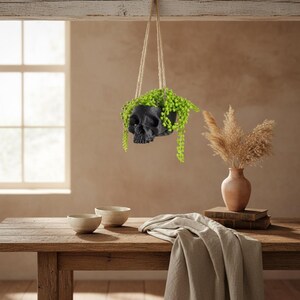 Peut inclure: Un pot de fleurs suspendu en forme de crâne noir avec des plantes vertes retombantes. Le pot est suspendu à une corde de jute. La scène se déroule dans une pièce avec une table en bois, des bols et un vase avec des plantes séchées.