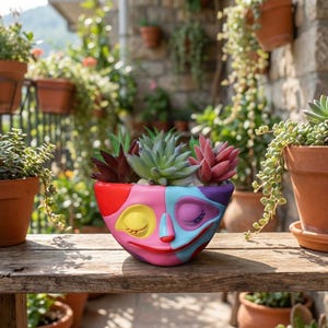 Peut inclure: Un pot de fleurs coloré en forme de visage, rempli de plantes succulentes. Le pot est divisé en sections rouges, roses, bleues et violettes, avec des yeux jaunes et une bouche rouge souriante. Les succulentes sont de différentes nuances de vert et de rouge.
