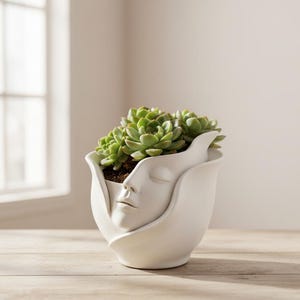 Peut inclure: Un pot de fleurs en céramique blanche en forme de visage, contenant une plante succulente verte. Le pot a une finition lisse et mate et présente un visage sculpté avec les yeux fermés et une expression sereine. La plante succulente a de nombreuses feuilles vertes.