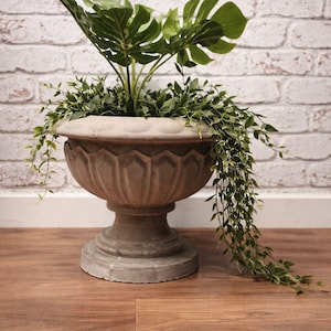May include: A large, weathered stone urn planter filled with lush green plants. The urn has a detailed, fluted design and sits on a pedestal base. Trailing greenery cascades down the side. The background is a white brick wall.