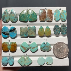 Op de afbeelding: Een collectie van veertien paren gepolijste turkoois cabochons gerangschikt op een wit displayplateau, genummerd van één tot veertien. Elk paar heeft unieke blauwe, groene en bruine matrixpatronen. Een Amerikaanse dollar-munt is inbegrepen.