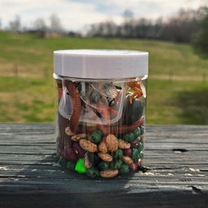 May include: A clear plastic jar filled with a variety of toy insects, beans, and other small objects. The jar has a white lid and sits on a weathered wooden surface. The background is a blurred view of a green field and trees.