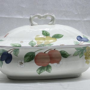 Mikasa Fruit Panorama DC014 Rectangular Tureen w Lid Covered Serving Dish