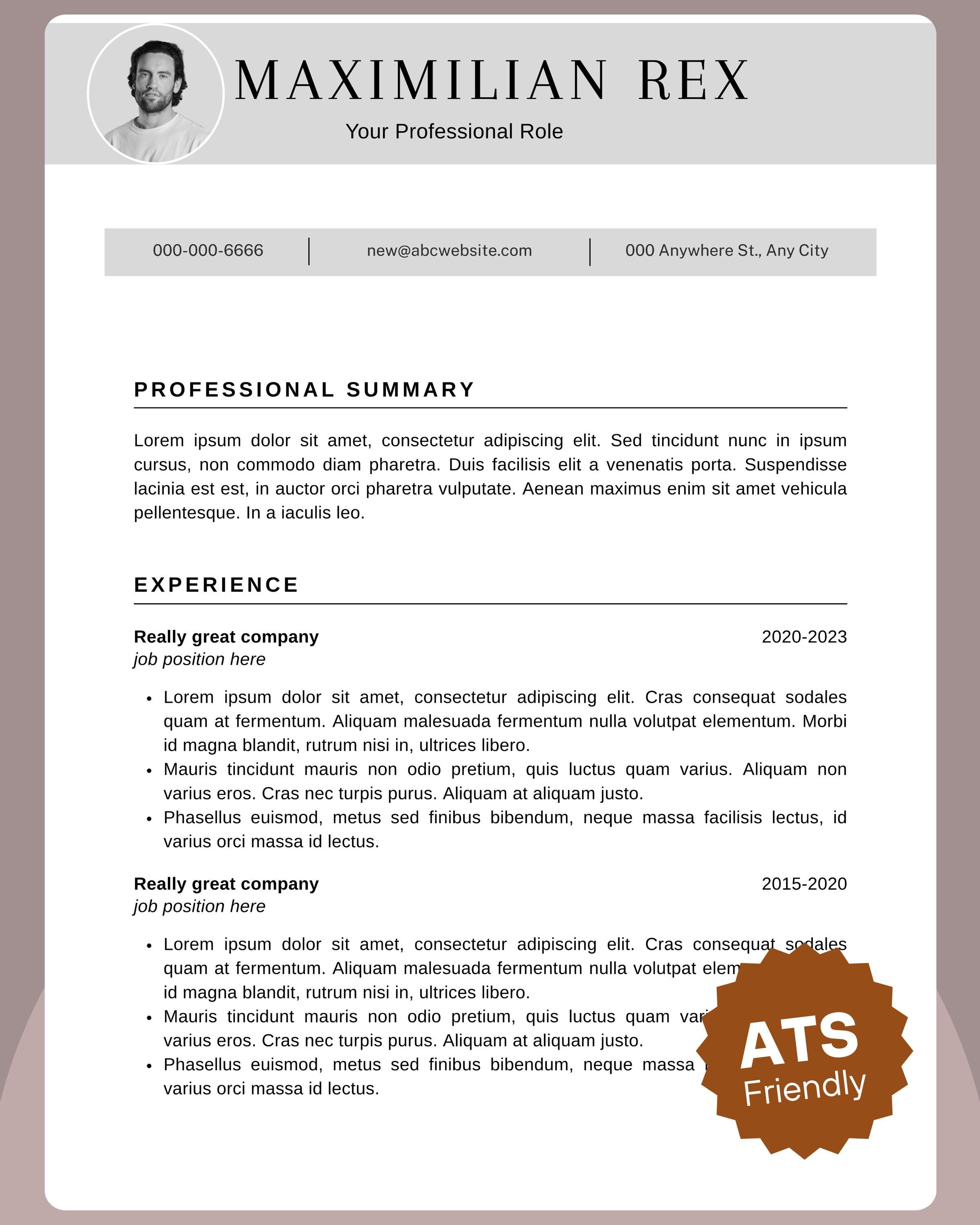 ATS Friendly Resume Template | Editable Word, Canva & Google Docs CV ...