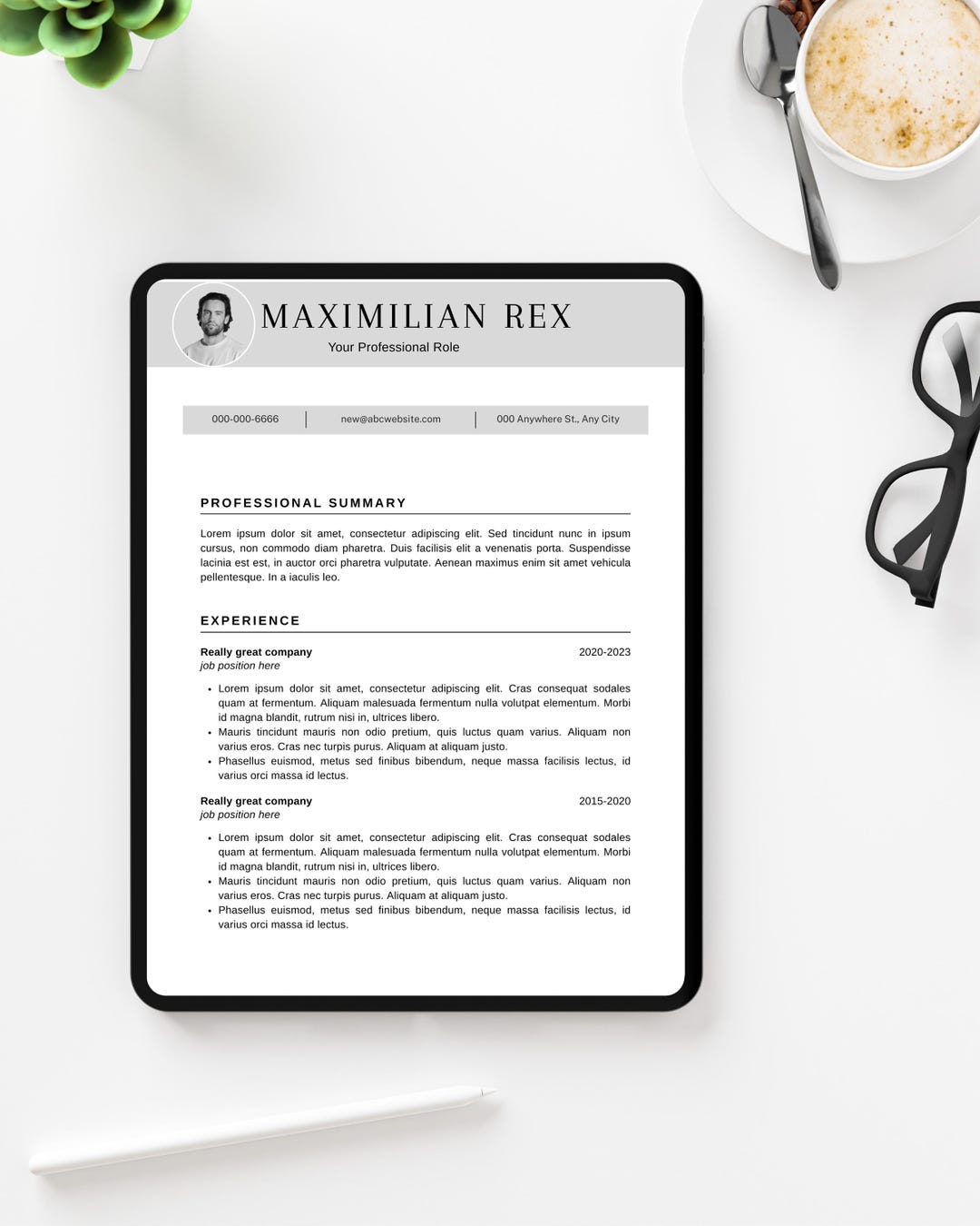ATS Friendly Resume Template | Editable Word, Canva & Google Docs CV ...