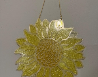 Girasole acchiappasole