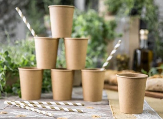 10 Kraft Party Cups, Birthday Party Cups, Wedding Party Cups, No lids ,Favor Cups Il_570xn