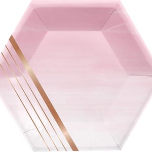 Rose All Day Stripe  Dessert Paper Plates,  8" hexagon-shaped plates  8ct Birthday, Debut, Wedding, Anniversary, Holiday, Festive