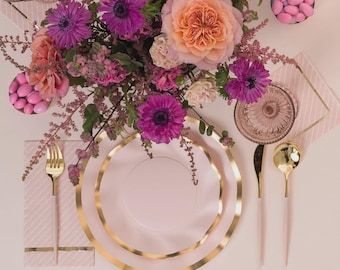 Bundle Party Supplies Everyday Blush Table Setting 8 guests