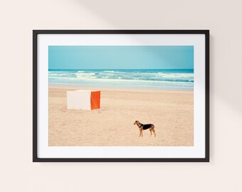 Wydruk fotografii Atlantic Beach | Pies z Maroka, Wybrzeże Atlantyku | Sztuka do salonu