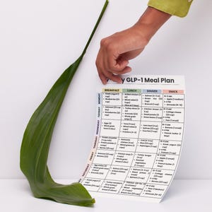 GLP-1 Meal Plan 7 Day Printable PDF, Ozempic Wegovy Diet Plan, Weight Loss Grocery List, What to Eat Guide, Low Appetite Diet image 3