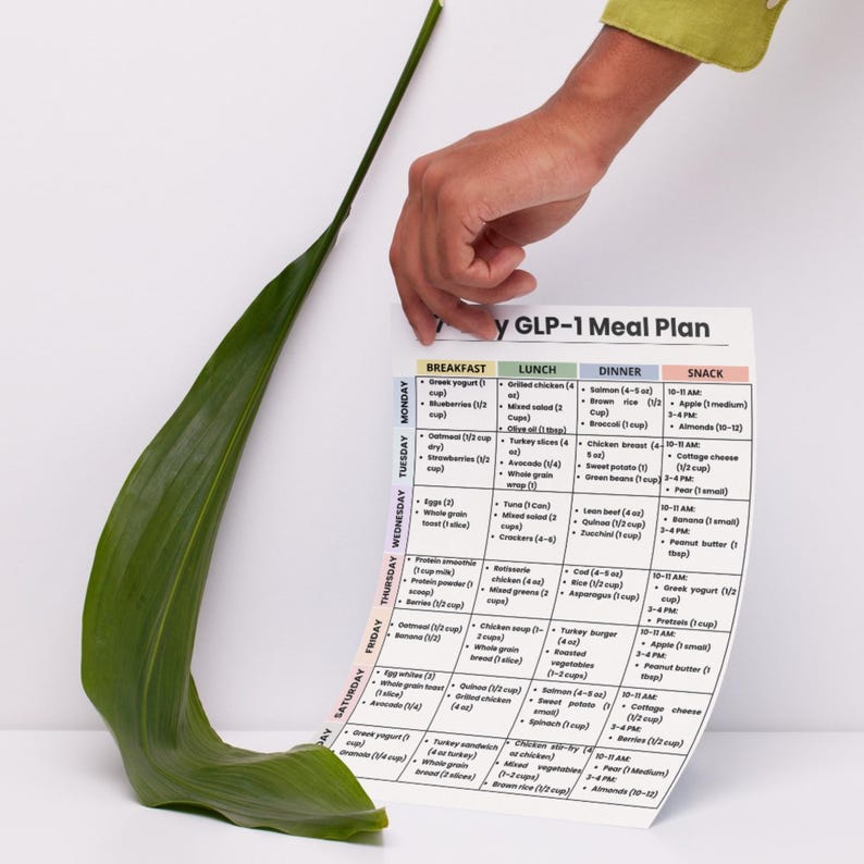 GLP-1 Meal Plan 7 Day Printable PDF, Ozempic Wegovy Diet Plan, Weight Loss Grocery List, What to Eat Guide, Low Appetite Diet image 3