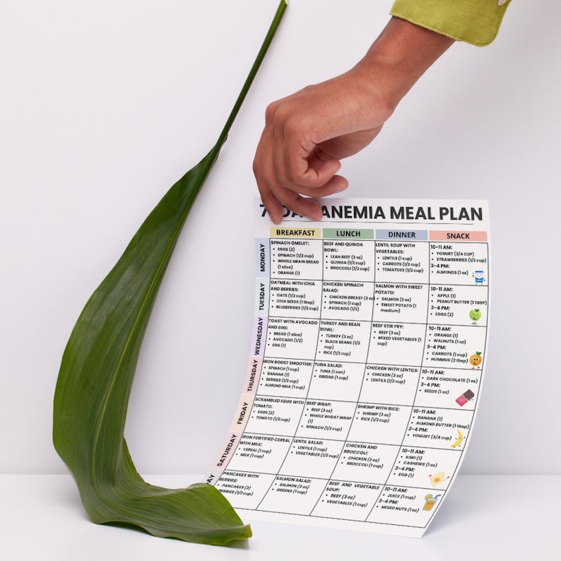May include: A printed "Anemia Meal Plan" with a weekly schedule of breakfast, lunch, dinner, and snack options. The plan is held by a person's hand, with a large green leaf in the foreground.