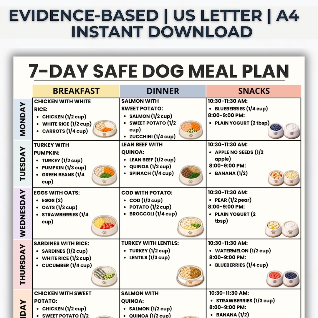 7 Day Dog Meal Plan Printable PDF, Homemade Dog Food Diet Plan, Healthy ...
