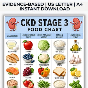 Könnte beinhalten: Eine CKD Stadium 3 Lebensmitteltabelle mit hellblauem Hintergrund und gezeichneten Nieren oben. Die Tabelle ist in Spalten unterteilt, die mit Lean Proteins, Lower-Potassium Fruits, Lower-Potassium Veggies, Grains & Starches und Lower-Sodium Extras beschriftet sind.