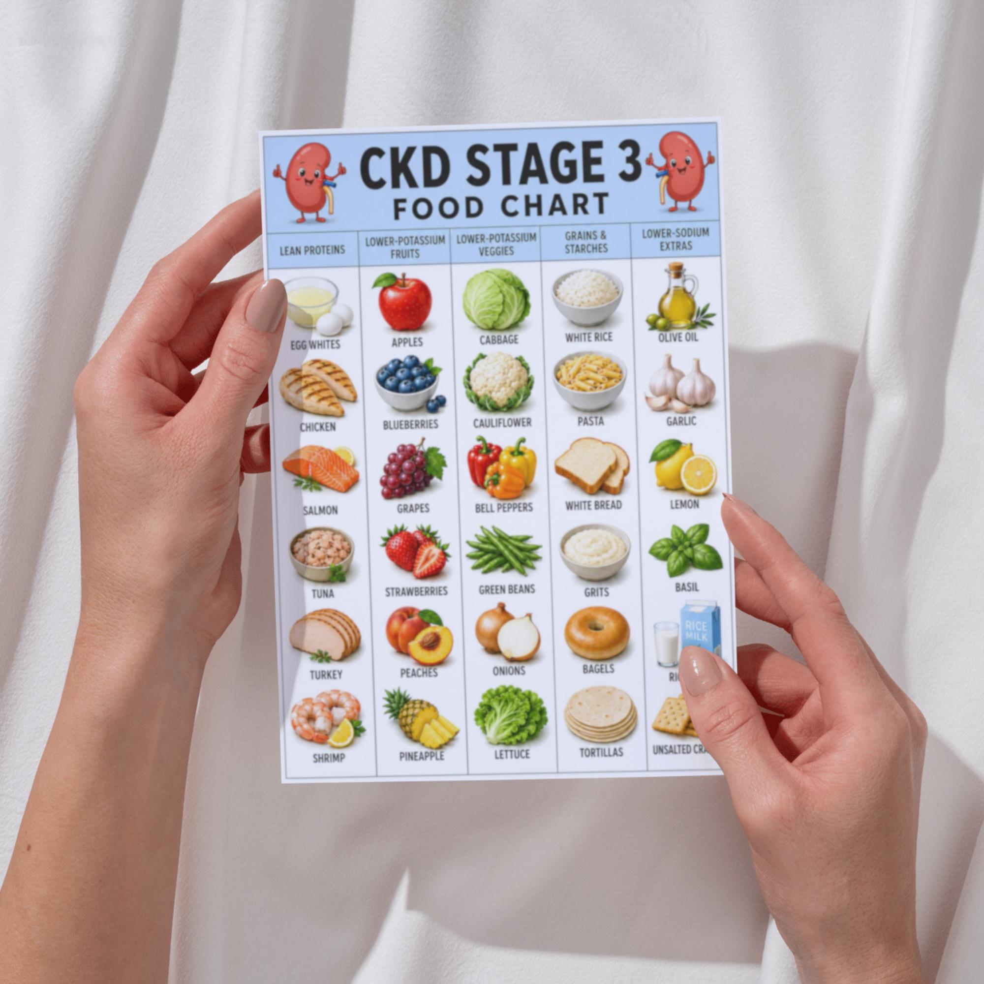 CKD Stage 3 Food Chart Printable PDF, Kidney Diet Food List, Low Sodium ...