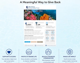Nonprofit One-Page Impact Report Canva Template