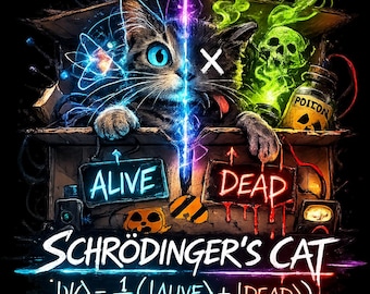 El gato de Schrödinger - The Big Bang Theory