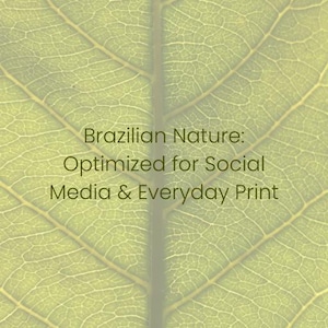 May include: Close-up of a light green leaf with intricate vein patterns. The image features text that reads "Brazilian Nature: Optimized for Social Media & Everyday Print" and the logo "Conta Pra Gente".