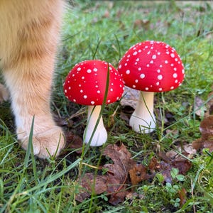 Op de afbeelding: Twee rood-wit gestippelde paddenstoelversieringen met witte stelen in groen gras. Een deel van een kattenpoot is links zichtbaar. Dit zijn grillige tuindecoraties.