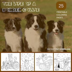 Pode incluir: Um download digital com três Border Collies em preto e branco e o texto "THE LIFE OF A BORDER COLLIE". A imagem também inclui o texto "25 PÁGINAS PARA COLORIR IMPRIMÍVEIS" e "DOWNLOAD INSTANTÂNEO EM PDF".